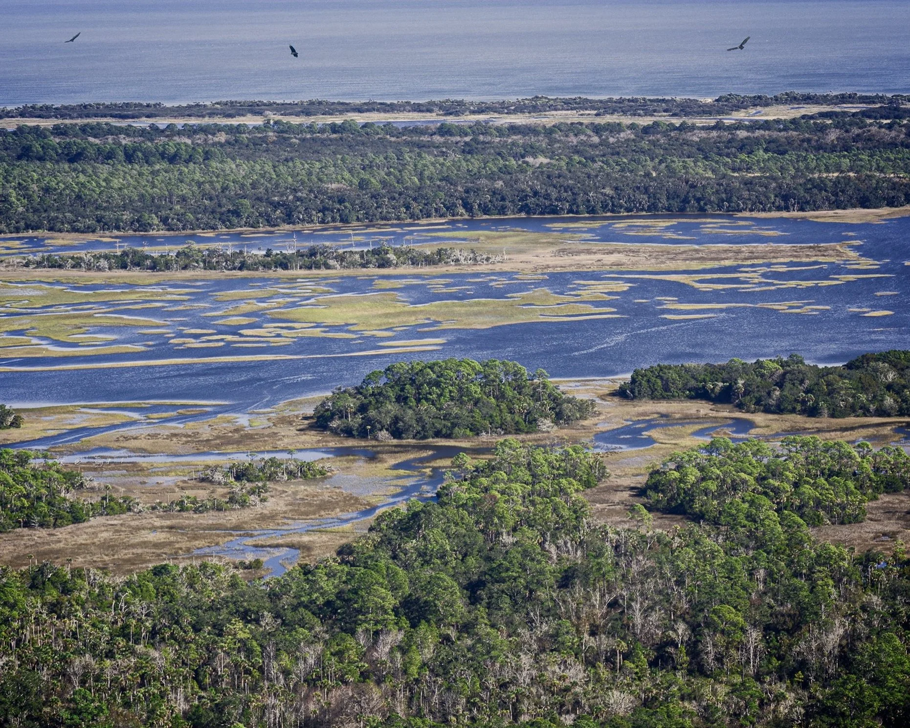Guana River (2021)